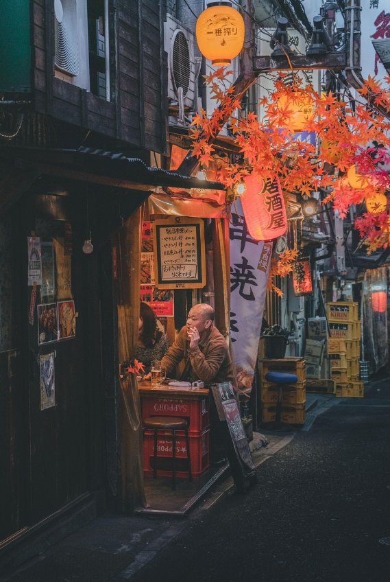 일본의 고령화 정책과 한계 분석