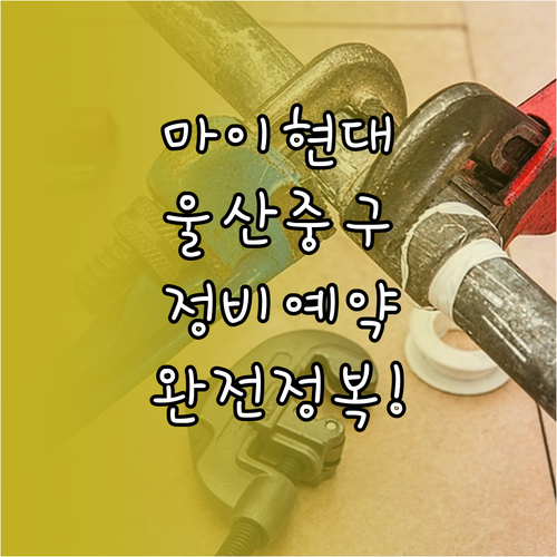마이현대 앱 활용 울산 중구 현대자동..