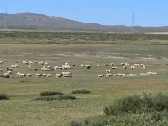 몽골 여행하기 좋은 계절 완벽 가이드 베스트 시기_20