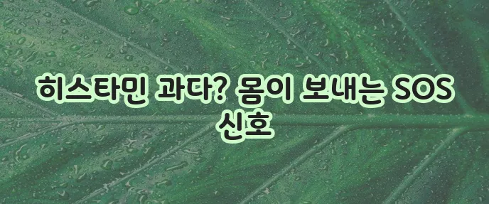 히스타민 증후군 원인과 증상 꼼꼼히 알아봅시다!