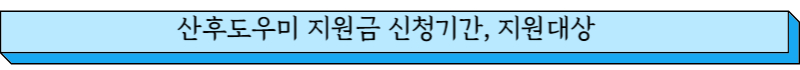 산후도우미 지원금 신청기간, 지원대상