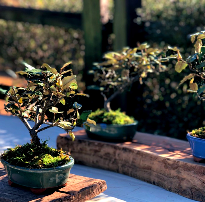 특색 있고 아름다운 민간 정원 30선 추천 여행 - 24. 통영 해솔찬정원