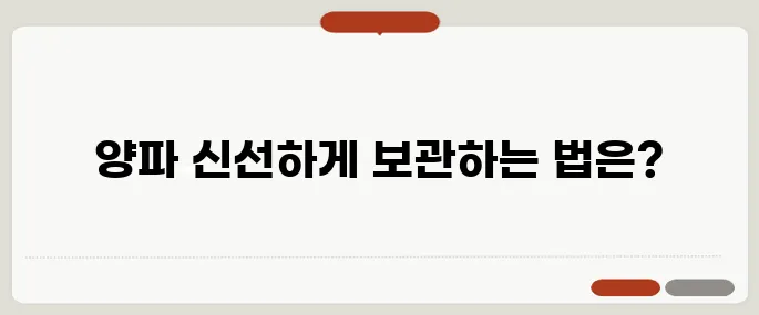 양파 보관법 냉장보다 오래 가는 꿀팁