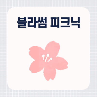 대구 이월드 블라썸 피크닉