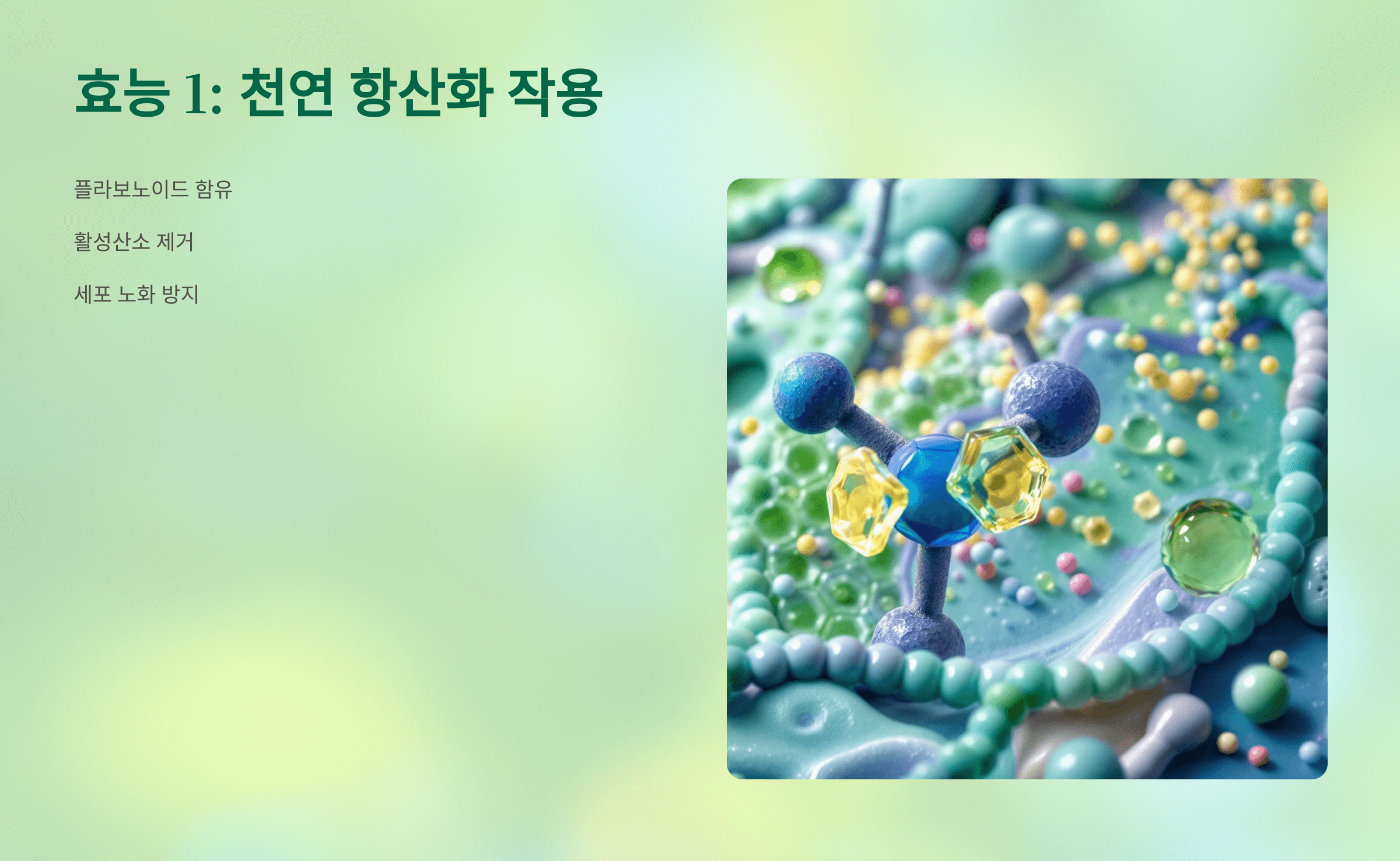 아카시아꿀 사진입니다.