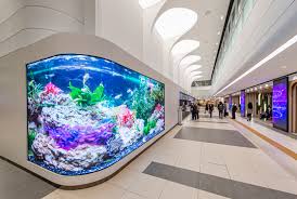 강남 센트럴시티 터미널&amp;#44; 혼자 가도 즐거운 이유 관련사진