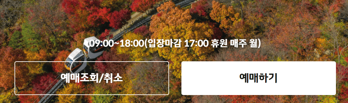 화담숲 예약 화담채 모노레일 단풍시기 꿀팁