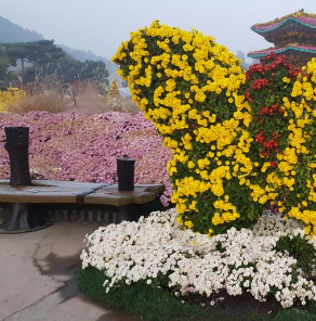 대한민국 국향대전