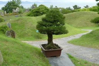 압해도 분재공원 근처 선착장에서의 낚시 농어와 도다리 포인트 소개 완벽 낚시터_14