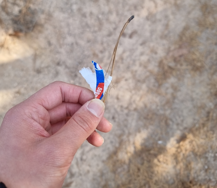 시작하자마자 쓰레기ㅜ