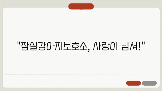 잠실강아지보호소 여기가 너뭔 좋아