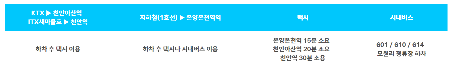 억만송이 봄꽃대향연 튤립 수선화 축제