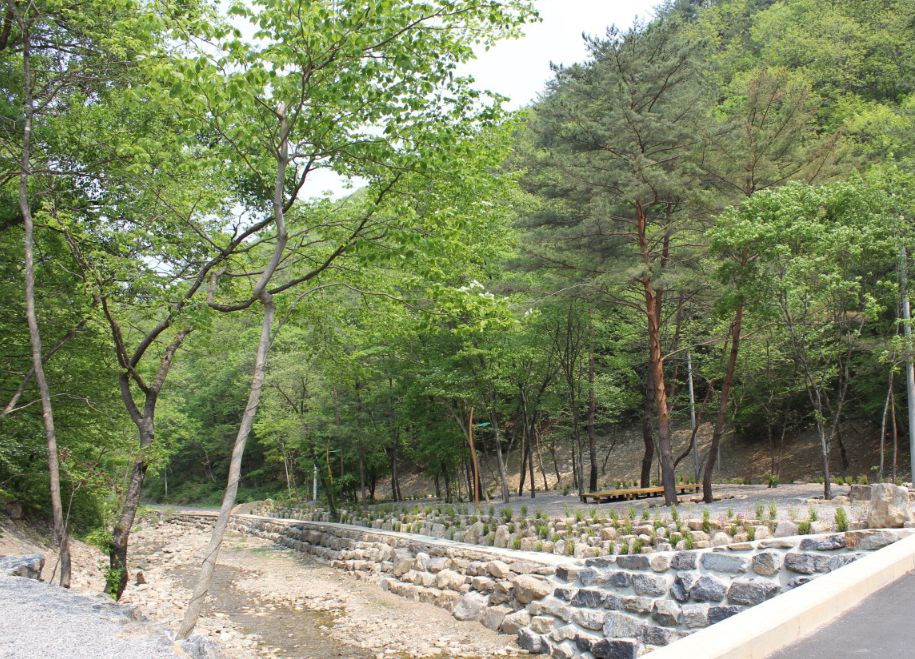 망경대산자연휴양림