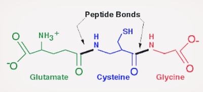 글루타치온 주사 효능 가격