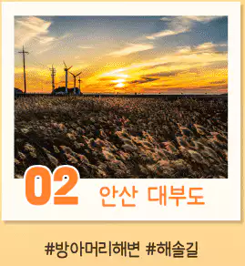 가을 x 섬 인증샷 이벤트 안산 대부도