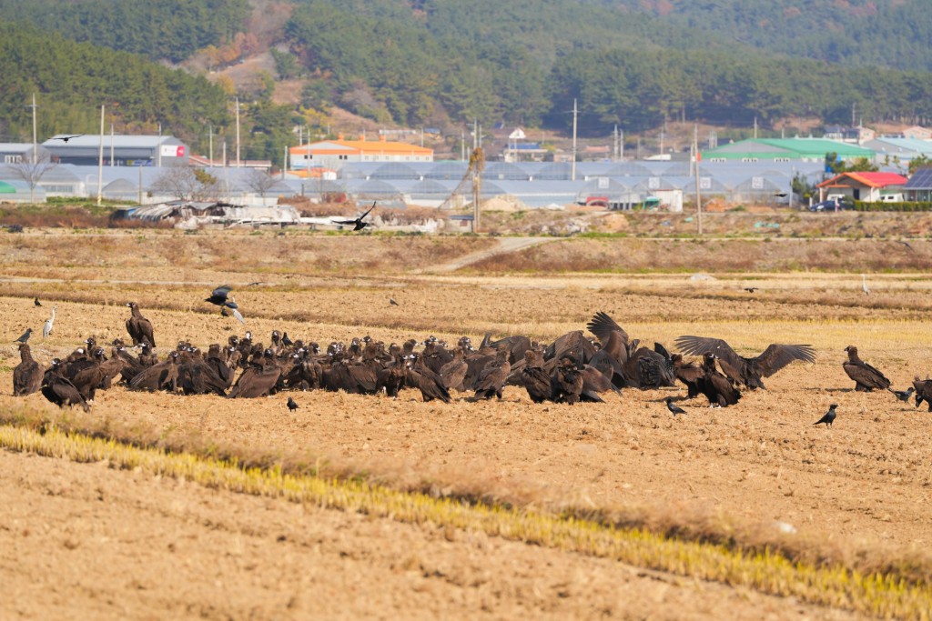 여행가는 달 여행지 추천