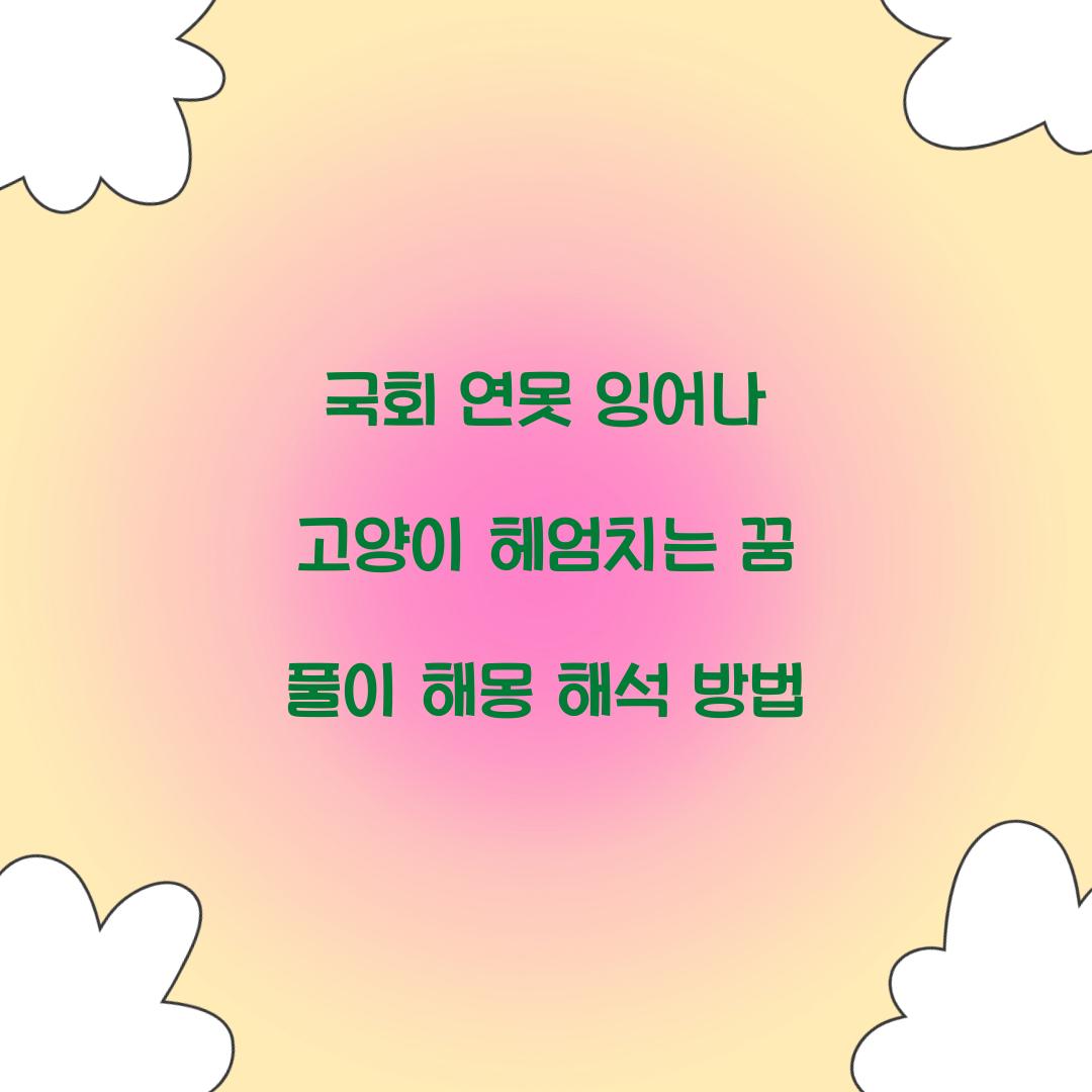 국회 연못에 잉어나 고양이가 헤엄치는 꿈 풀이 해몽 해석