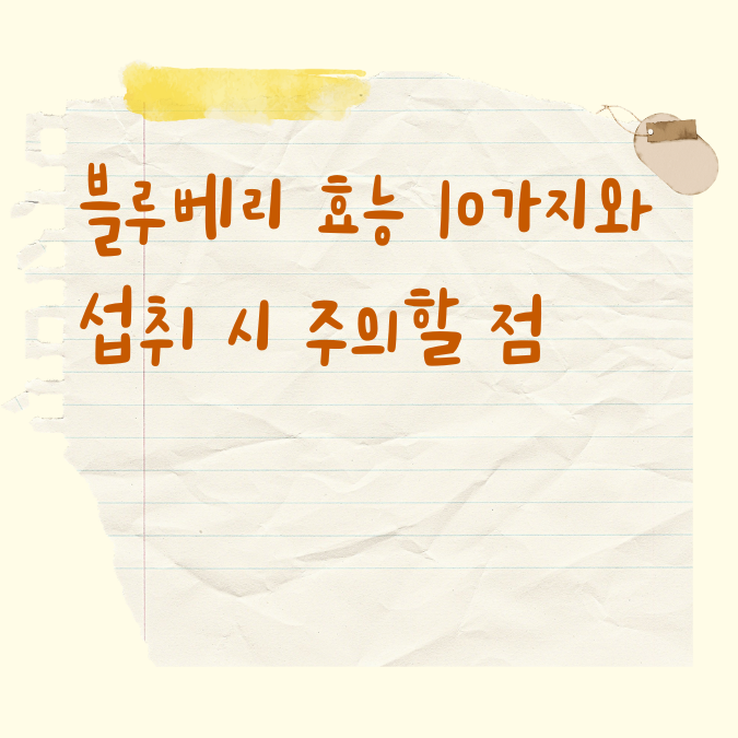 블루베리 효능 10가지와 섭취 시 주의할 점