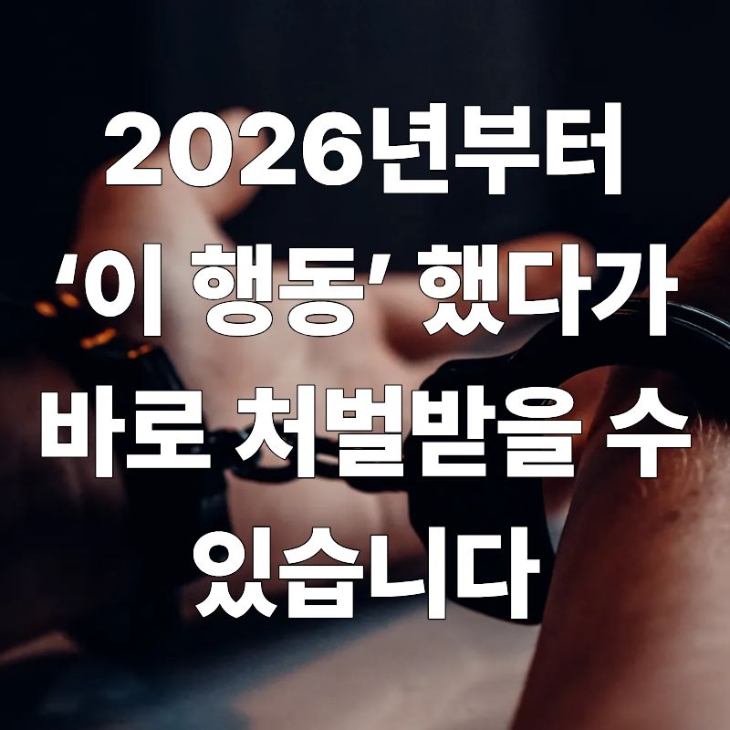 2026년부터 &lsquo;이 행동&rsquo; 했다가 바로 처벌받을 수 있습니다