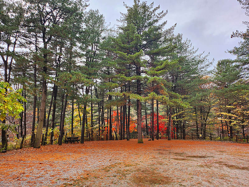 힐링별밤수목원캠핑장 소개