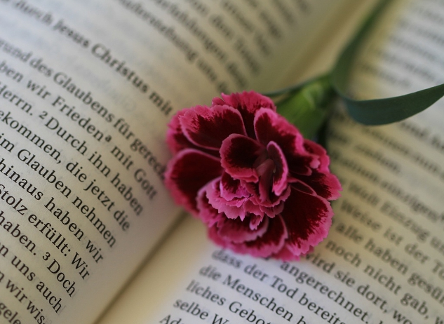 기도문(예배를 위한 기도)