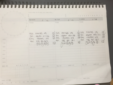 체크리스트 예시