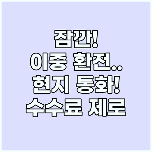 해외여행 카드 결제 이중 수수료 방지..