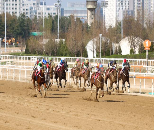 SBS스포츠스프린트 경주 모습_가장 선두 하늘색 모자가 빈체로카발로