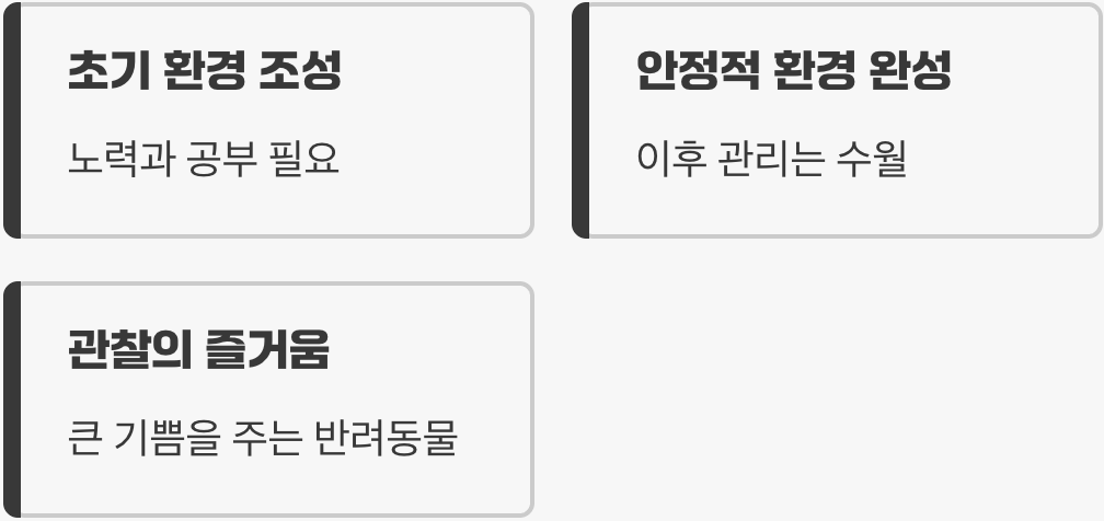 그래서, 소라게는 정말 어려운 반려동물인가요?