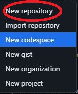 깃코인 패스포트