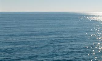 50대를 위한 디지털 노마드 창업을 상징하는 해안가 작업 공간