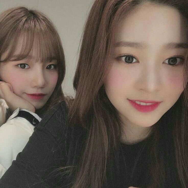 아이즈원 프로듀스48 사진 모음