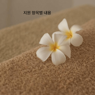 2025 긴급복지 지원금 총정리|생계·의료·주거·사회복지 서비스 안내