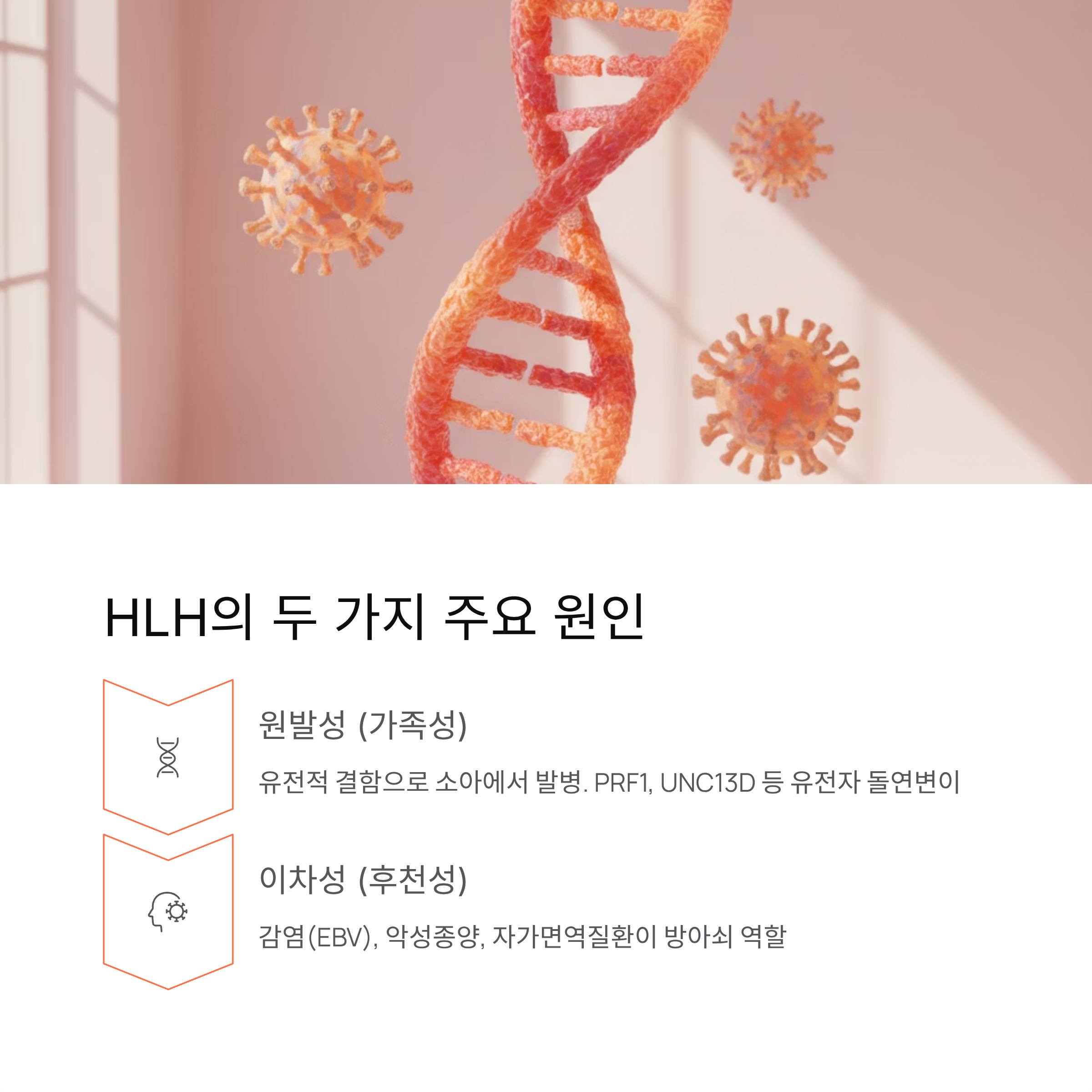 HLH의 두 가지 주요 원인