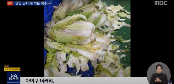 곰팡이 김치