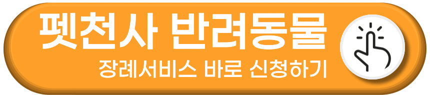 펫천사 반려동물 장례서비스 신청 방법