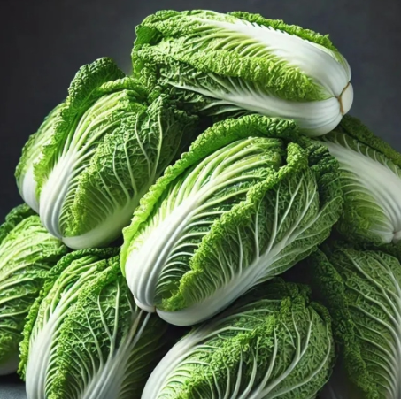 절임배추-사진6