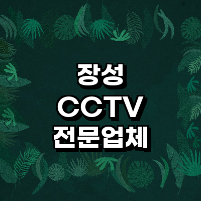 장성군 cctv