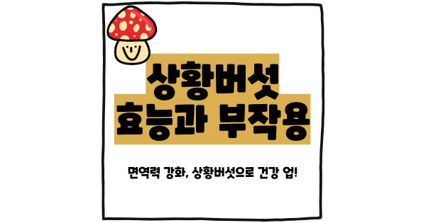 상황버섯 효능 부작용