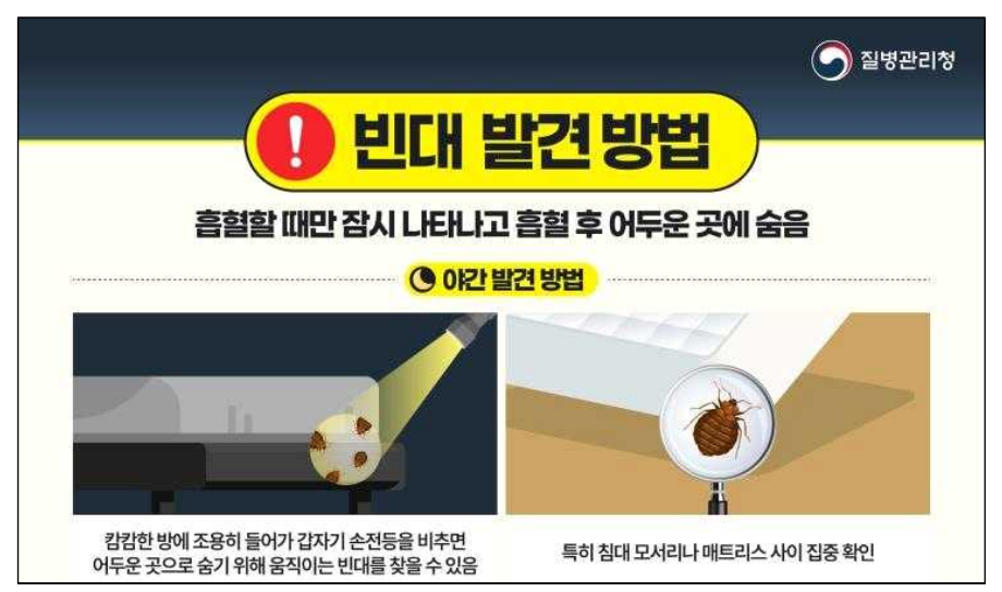 빈대 물린자국, 어떻게 치료해야 할까요?