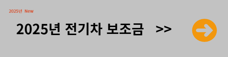 전기차 보조금