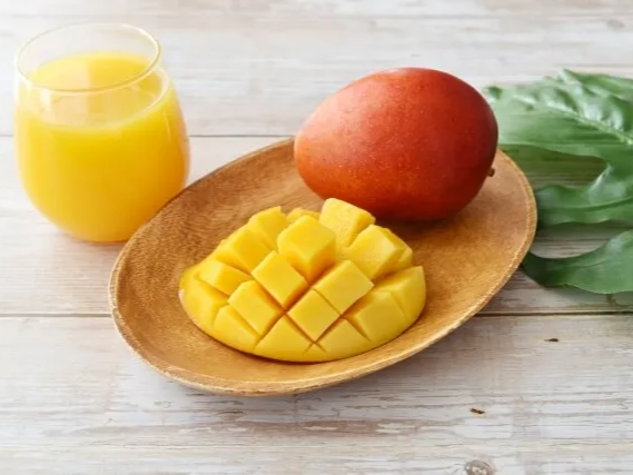 면역 반응 조절하는 망고 성분