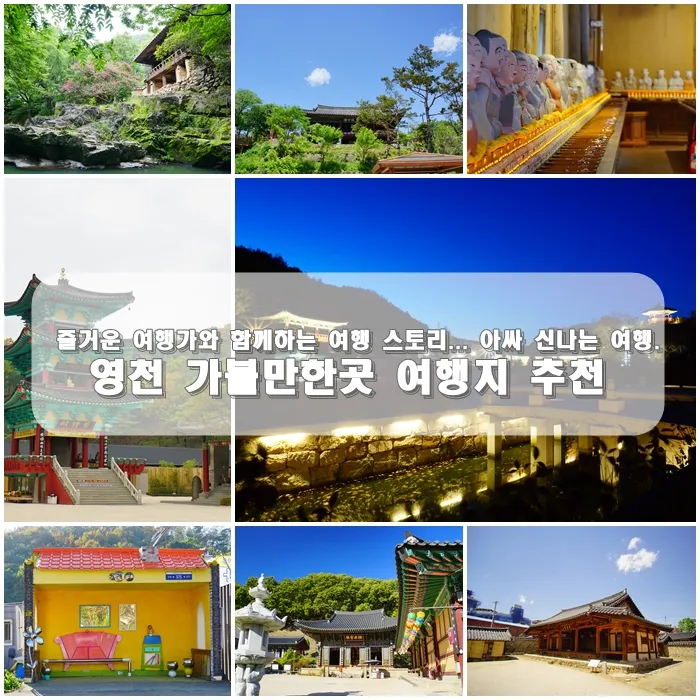 영천 가볼만한곳 맛집 카페 추천 여름 사진 명소_2