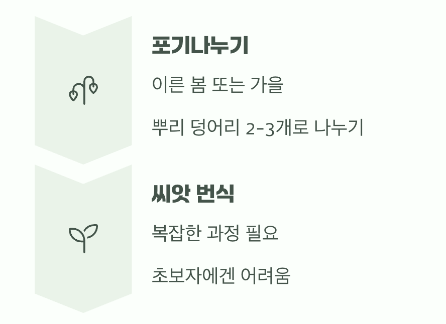 번식의 즐거움, '포기나누기'와 씨앗