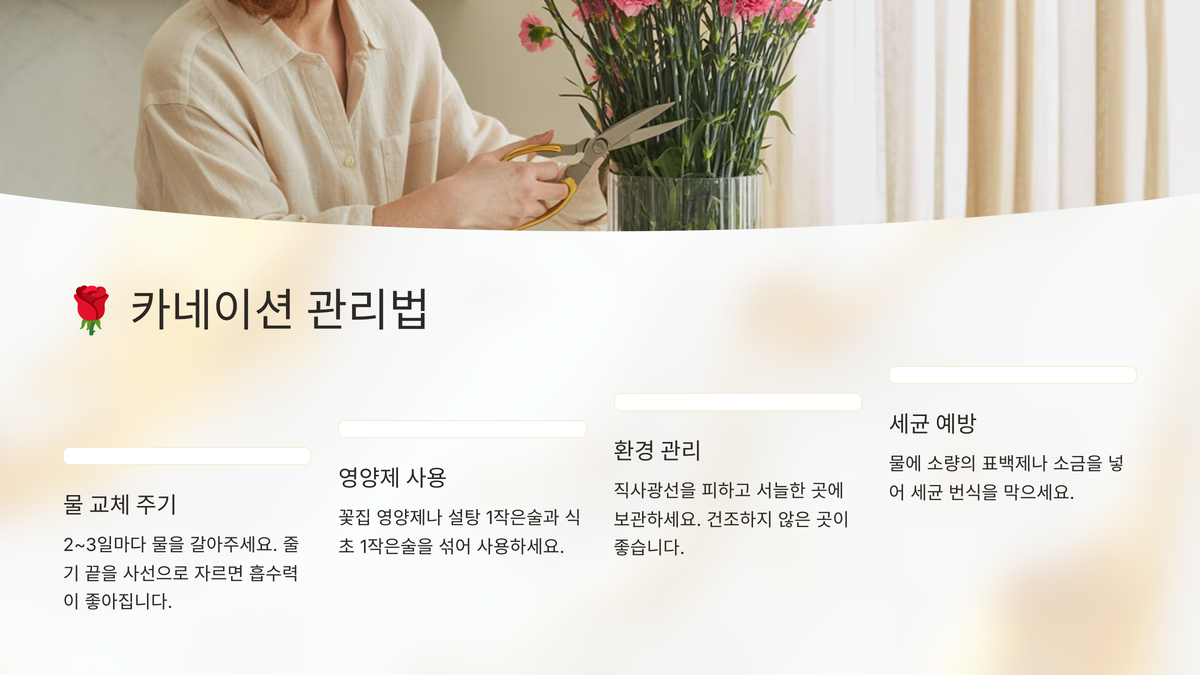 카네이션 관리법 설명 이미지