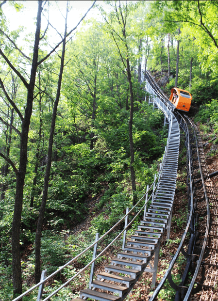 청풍호반모노레일