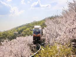 화담숲 예약하기