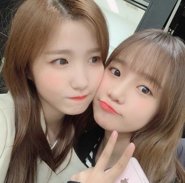 아이즈원 프로듀스48 사진 모음