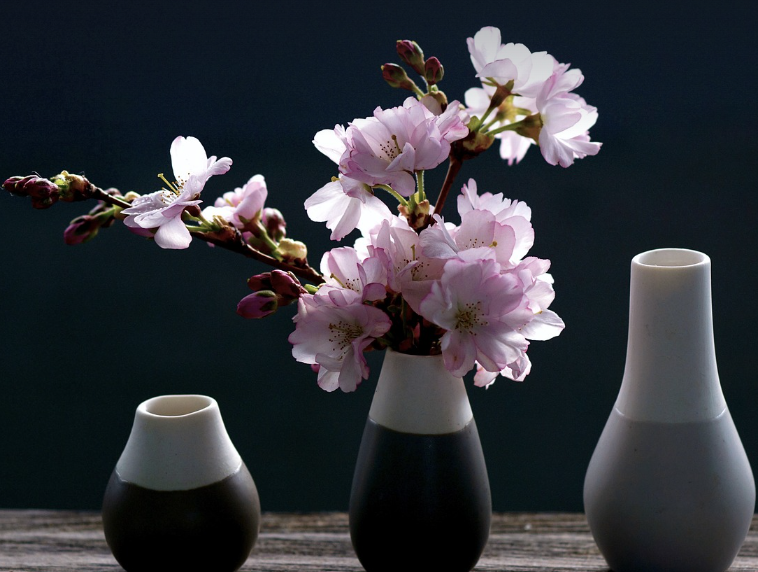 서울 vs 부산, 어디가 벚꽃이 더 예쁠까?