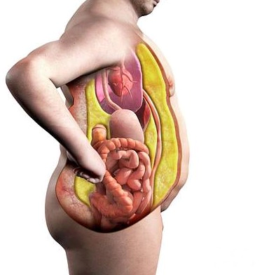 복부 지방 감소에 특화된 운동